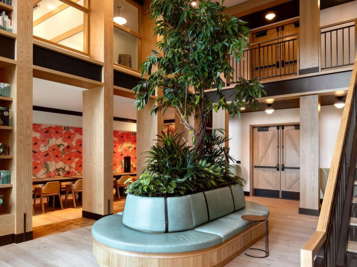 The Hadley, residential interior, Mountain View, California, designed as part of the creative team at Brand Bureau. Photo 1 of 10
